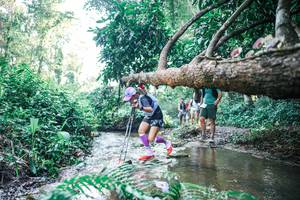 BIB: 
                            <button type="button" onclick="openModal(25442788)" class="btn btn-primary btn-sm float-right btn-popup" data-toggle="modal" data-target=".modal-high-quality">
                        <i class="fas fa-shopping-cart"></i> Add to Cart
                    </button>
                                            <button type="button" onclick="isThisMe(25442788, true)" class="btn btn-success btn-sm float-right btn-popup btn-isme hidden" data-toggle="tooltip" data-placement="bottom" title="นี่คือรูปของคุณใช่ไหม คลิกที่นี่เพื่อเอาเข้าอัลบั้ม">
                        <i class="fas fa-plus"></i> Add to album
                    </button>
                    <button type="button" onclick="isThisMe(25442788, false)" class="btn btn-warning btn-sm float-right btn-popup btn-isnotme hidden">
                        <i class="fas fa-ban"></i> Remove from album
                    </button>